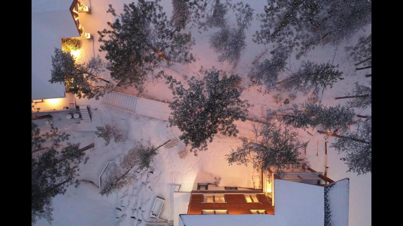 Chicoutimi Gite Du Haut Des Arbres المظهر الخارجي الصورة